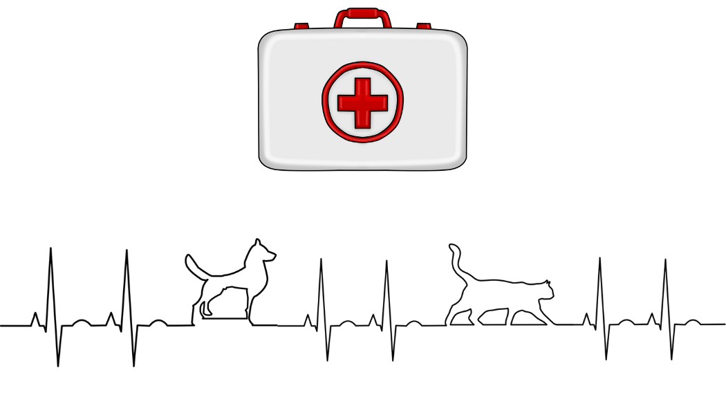 pronto soccorso cani e gatto 2